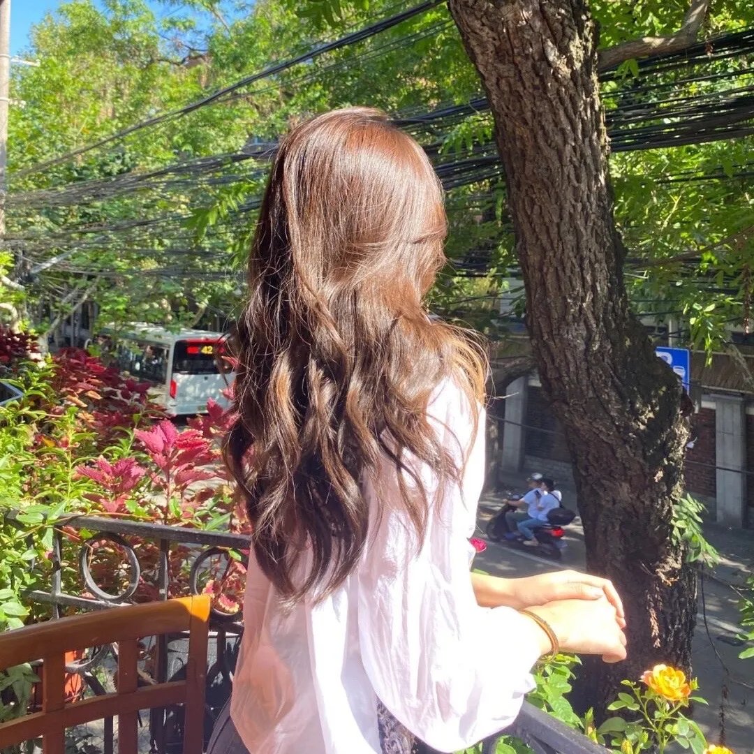 梅府有女初长成